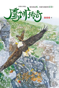 鹰训传奇